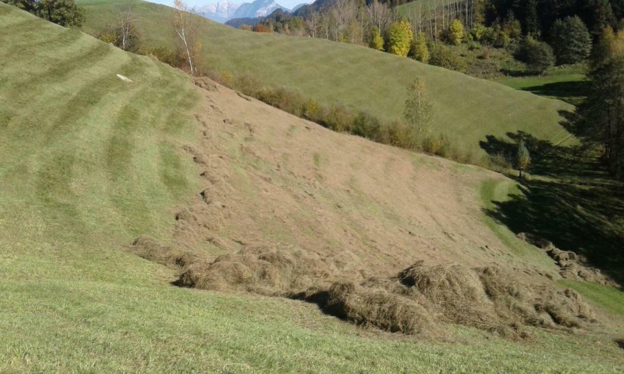 Pulvererhof ครัมซาค ภายนอก รูปภาพ